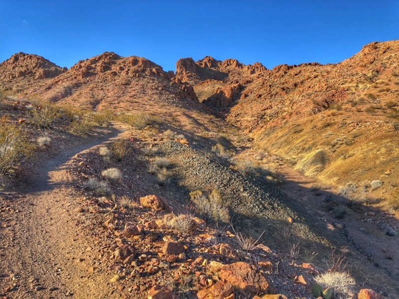 Steady incline before a fast and fun downhill switchbacks