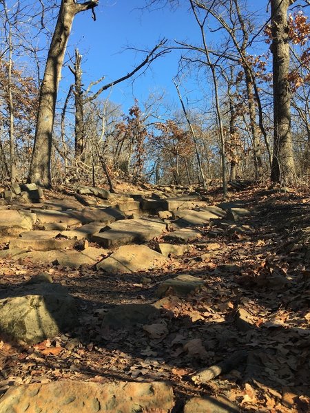 Turkey Mountain's Blue Trail has spots that are very rocky.