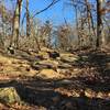 Turkey Mountain's Blue Trail has spots that are very rocky.