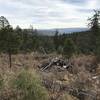 View of Ruidoso from Lower Raven.