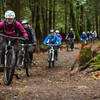 Heading up the Padden Creek Trail.