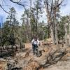 Coming down the singletrack near the southern terminus of this segment.