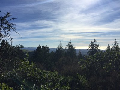 View so the coast from Manzanita Trail.