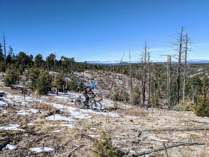 Stunning high altitude vistas pepper the ridgelines of this trail.