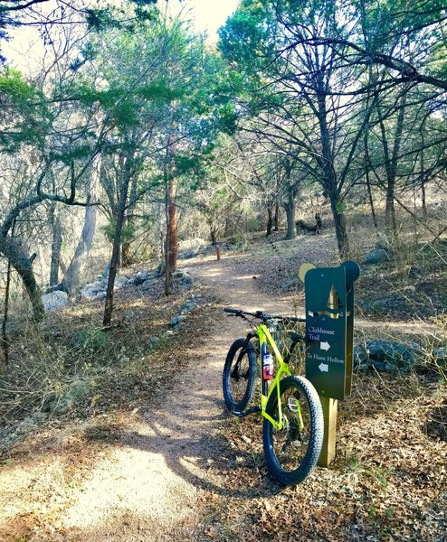 Hamilton Greenbelt Hurst Hollow Trail...so much fun!