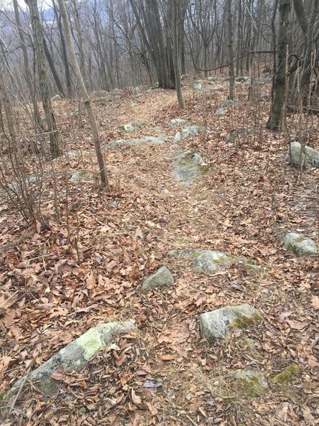 Trail on top of ridge.