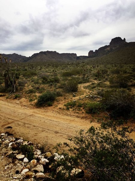 This where Susan B Loop crosses a jeep road.