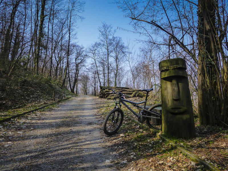 A tyipcal welcoming forest road section in the Parco della Collina del Penz