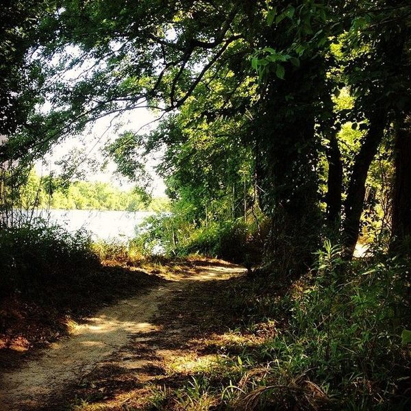 The trail is beautiful in the summer.