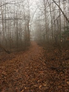 Freezing fog moving in on Horse Ridge.