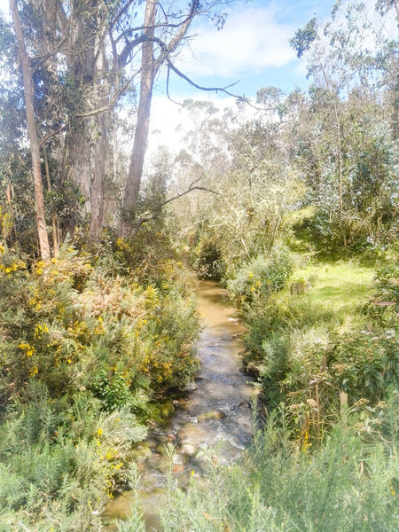 Teusacá River.