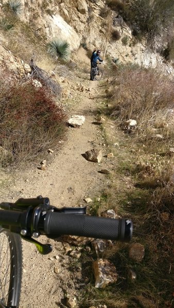 Rocks litter the trail