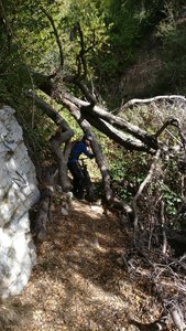 walk it or ride if you dare