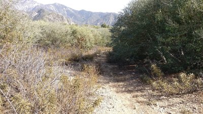 Enter Cucamonga Truck Trail