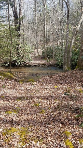 Only creek crossing.