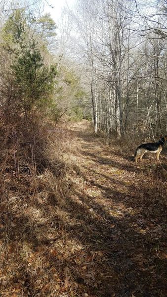 Singletrack.