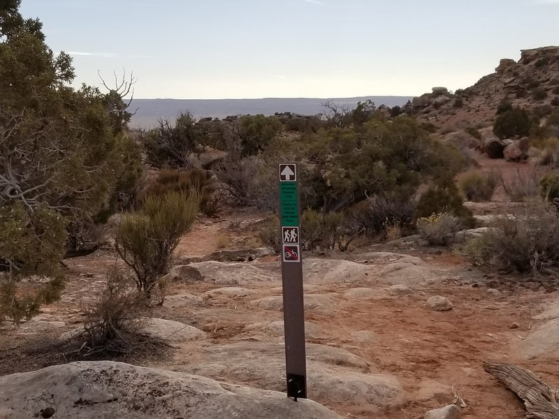 Walking-only trailhead from Alaska down into the Dinosaur Stomping Ground Area