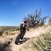 Rolling The Chutes on the FatBoy.