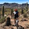 Riding among the saguaros.