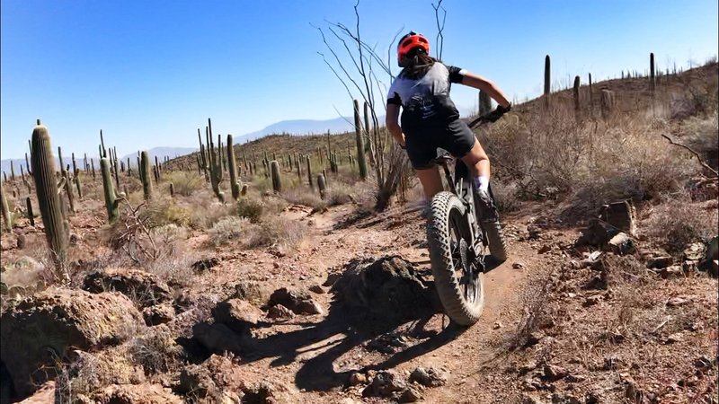 More beautiful singletrack in Tucson AZ.