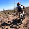 More beautiful singletrack in Tucson AZ.