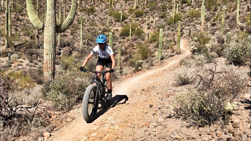 Heading down fast smooth singletrack.