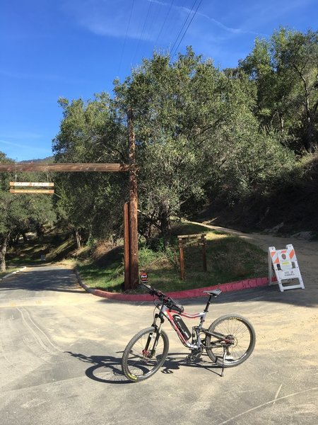 Junction of Rice Road & Camp Trask on the left and Monrovia Canyon Road on the right; stay on the right. Keep your eyes open for a Bobcat I saw twice in that area.