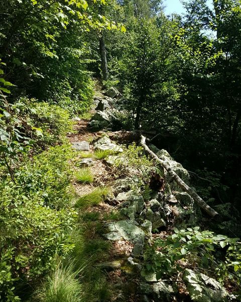 Just one of many hike-a-bikes you may encounter on the trail!