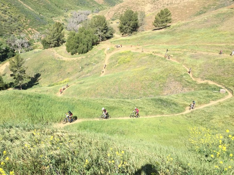 Freshman Boys D1 leaders climbing up the singletrack along Cutler Canyon Fire Road.