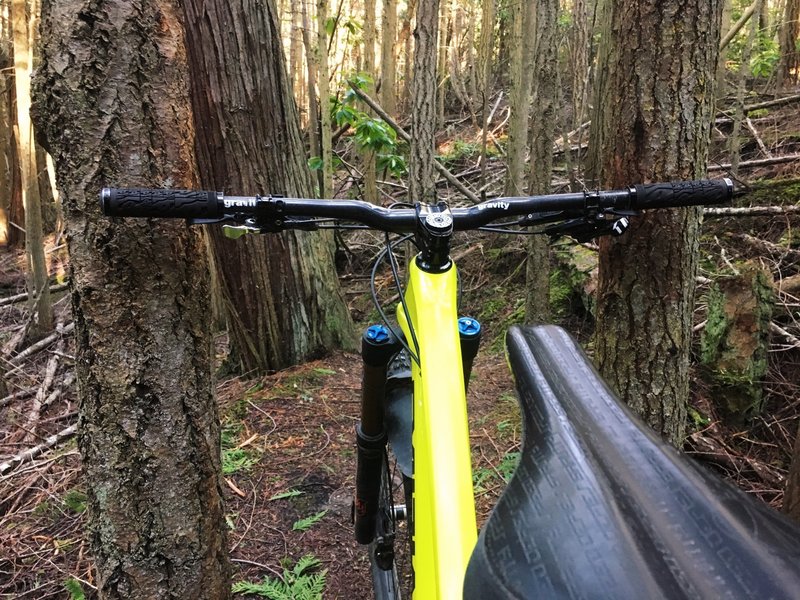 Watch for the tree-pinches. This one was narrower than my brake levers.