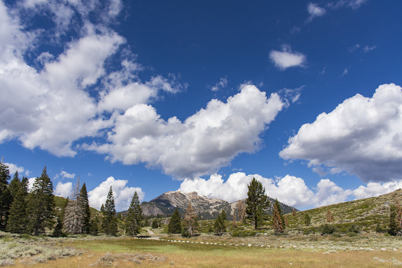 Mammoth Mountain