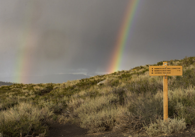 Mammoth Lakes Trail System 2017