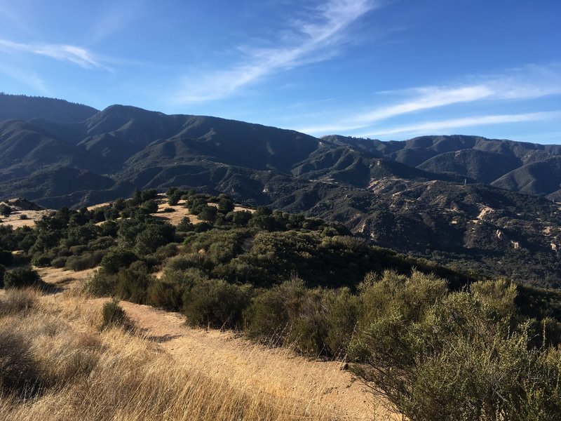 A little over half way on the connector, looking south towards Santa Ynez River, Arroyo Burro North and Rancho Oso, 3 really fun sections remaining!