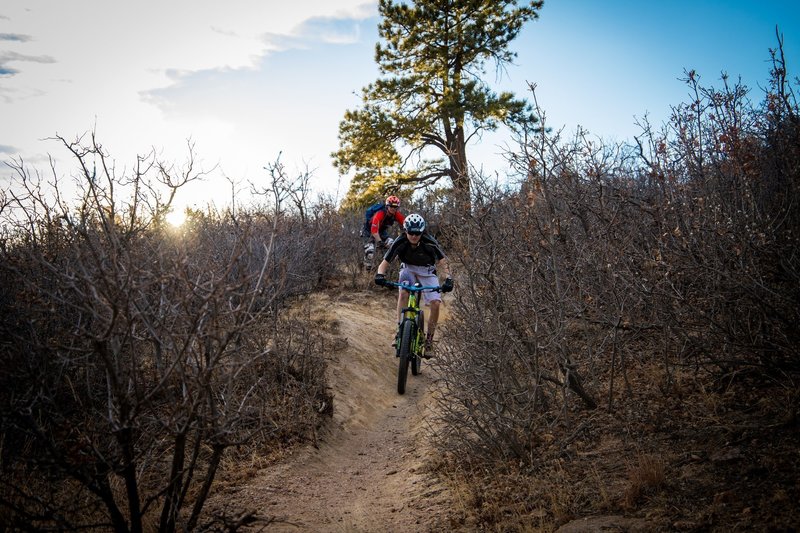 Shredding Palmer Park