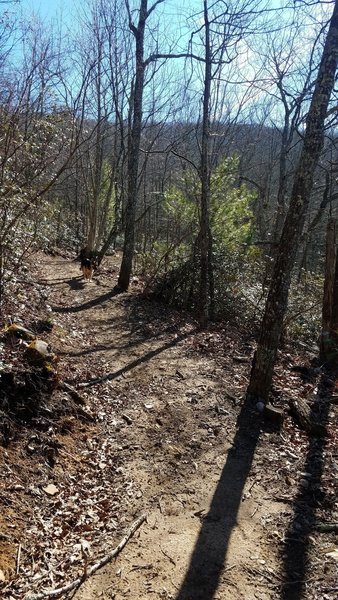 Sandy SingleTrack