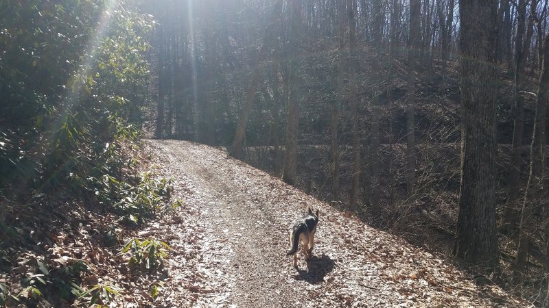 east end of trail.