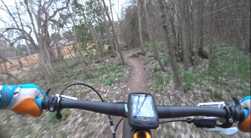 Rabbit Run singletrack