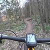 Rabbit Run singletrack