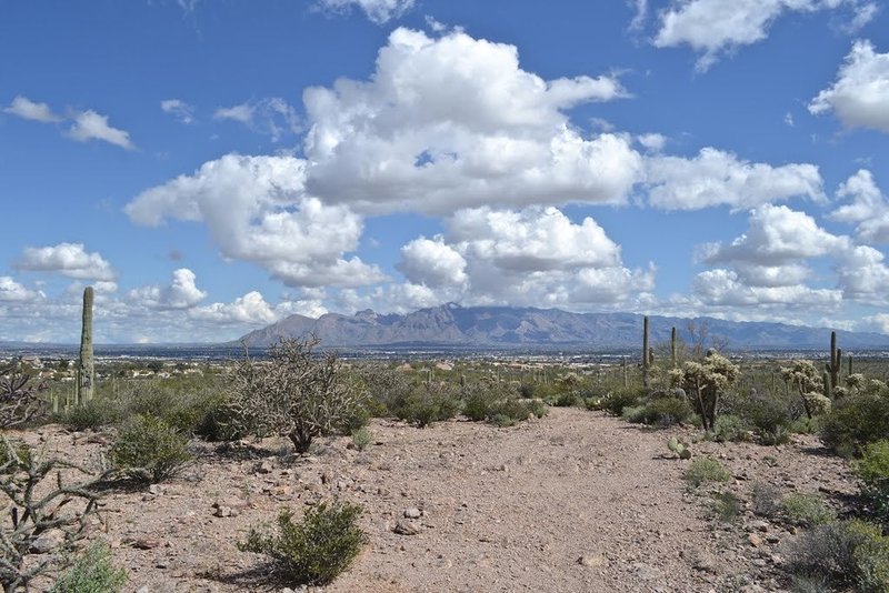 Looking east toward the city.