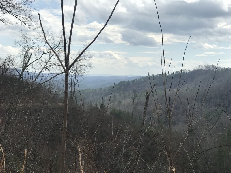 View toward Mulberry.