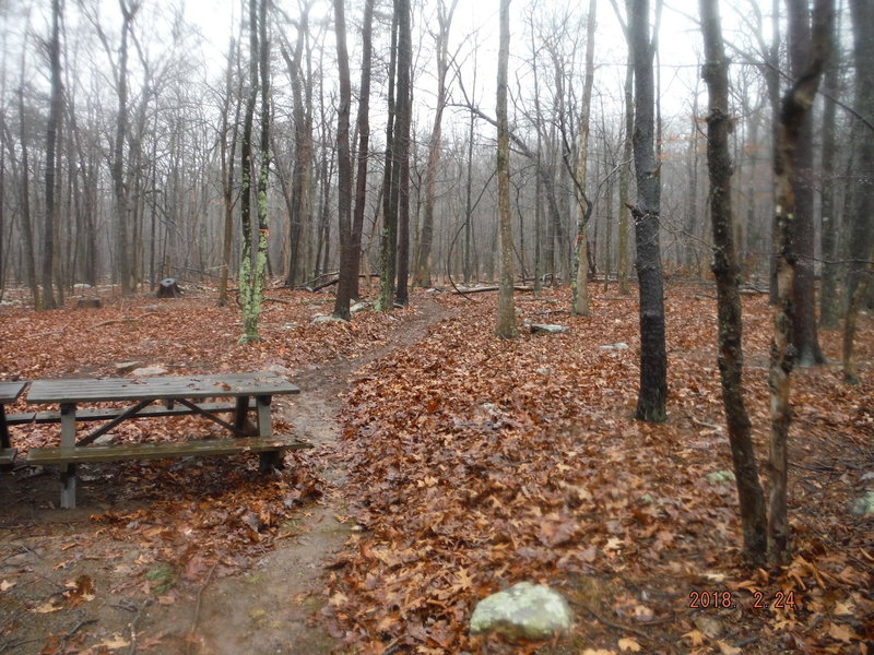 Beginning of Start Me Up on Picnic Circle Road down by the swimming lake.