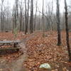 Beginning of Start Me Up on Picnic Circle Road down by the swimming lake.