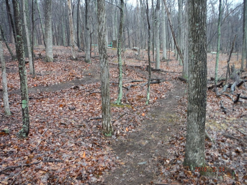 Fun switchbacks on the climb.