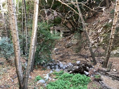 Winter Creek Loop.