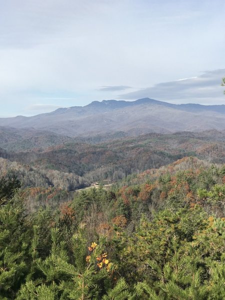 View of Grandfater Mtn.