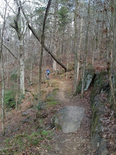 Splendid benchcut trail.