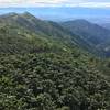 Coffee Plantations. Santa Isabel.Tolima