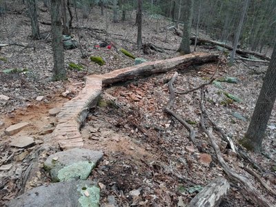 Log ride on Bandit