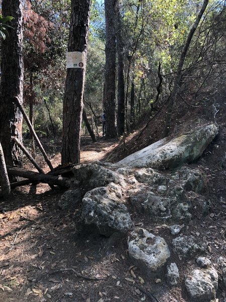 Qualifier entrance to the harder section on Ern N Burn