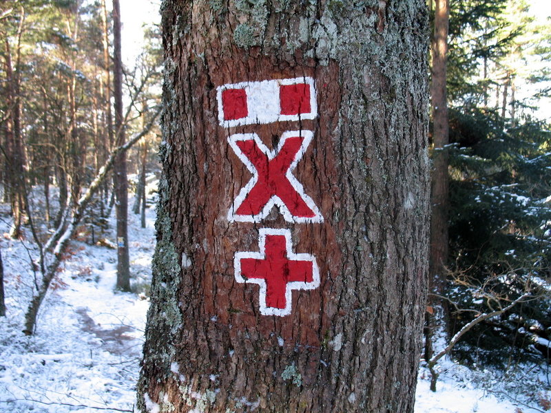 Tree signage